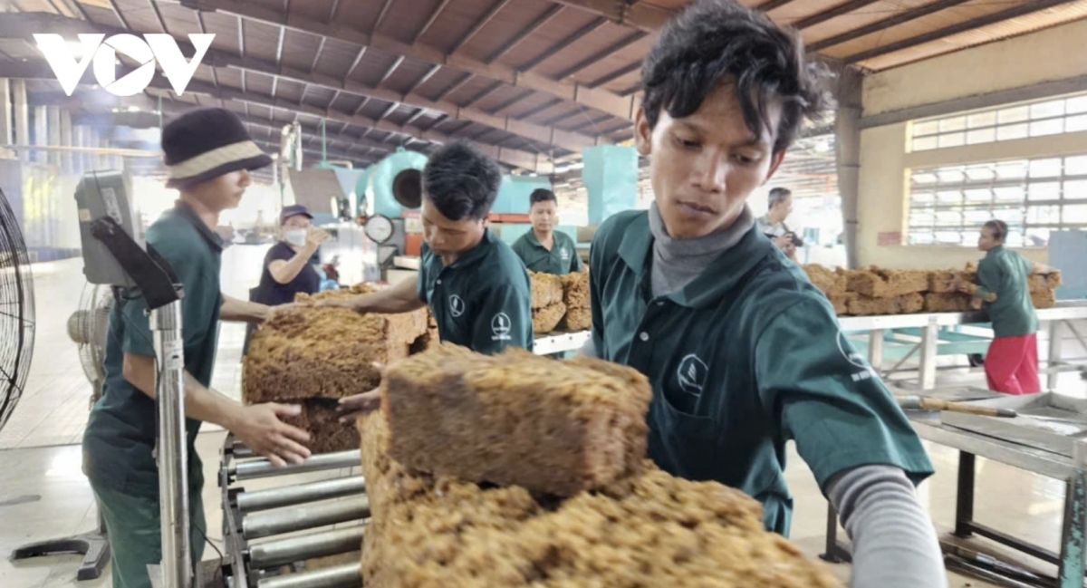 Rubber industry targets export growth over global supply shortage
